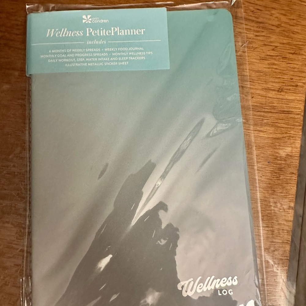 Erin Condren Wellness Log in Teal
